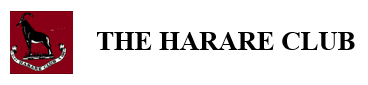 Example Logo
